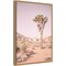 Joshua Tree III Blush by Elizabeth Urquhart Canvas Wall Art Print Framed